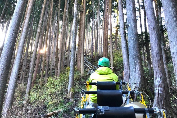 one-day-tour-of-tokyos-plentiful-nature-in-hinohara-village