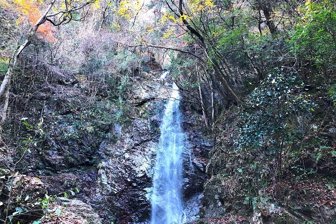 one-day-tour-of-tokyos-plentiful-nature-in-hinohara-village