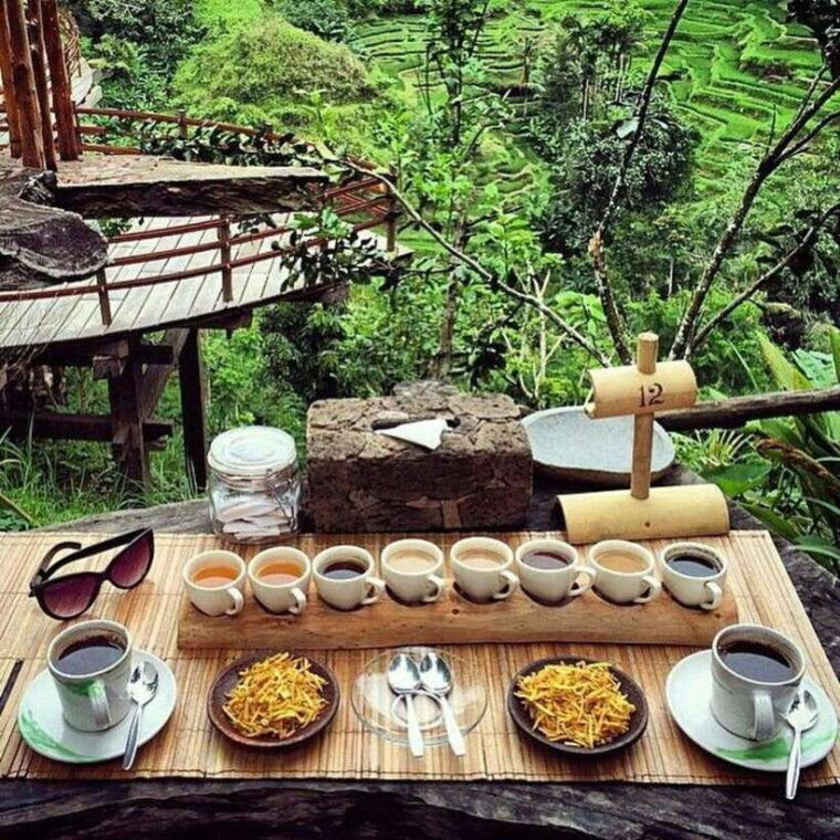 one-day-tour-of-ubud-area-includes-entrance-ticket-waterfall