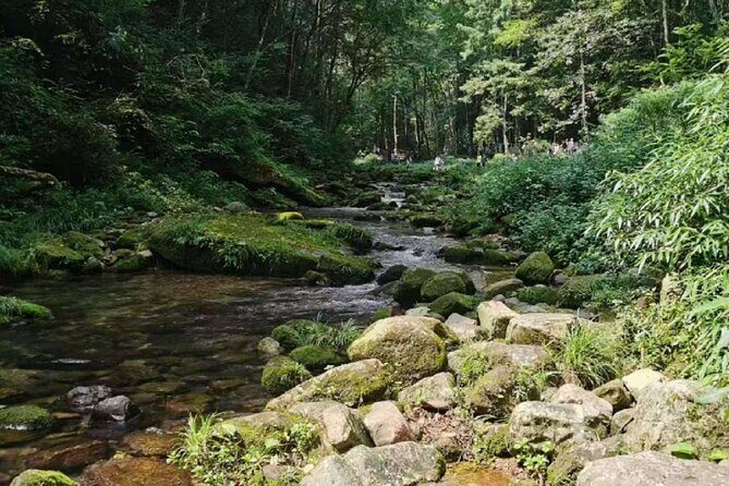 One day tour of Zhangjiajie National Forest Park - Key Points