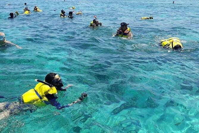 One Day Tour Pink Beach East Lombok Excursion - Key Points