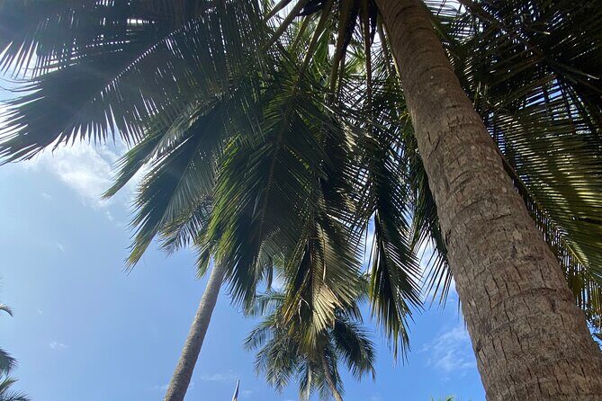 One Day Tour - Sacred city of Anuradhapura & Sacred city of Mihintale. (Sunset) - What’s Not Included & Considerations