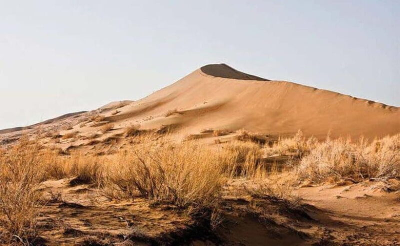 One Day Tour to Altyn-Emel: Singing Dune and Aktau Mountain - The Value of the Experience