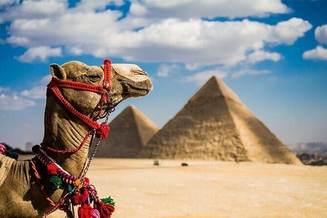 One Day Tour to Cairo from Sharm El Sheikh by Plane - Who Should Consider This Tour?