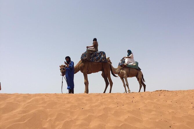 One day tour to small Sahara and massa - Key Points