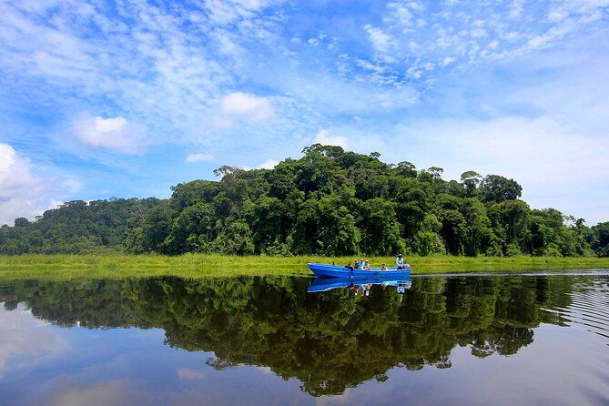 one-day-tour-to-terraba-sierpe-mangrove-by-boat-from-sierpe