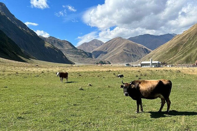 one-day-tour-to-the-magnificent-kazbegi
