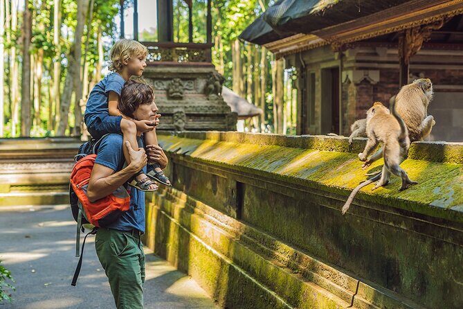 One Day Tour Ubud With Private Guide - What to Expect from the One Day Ubud Tour With Private Guide