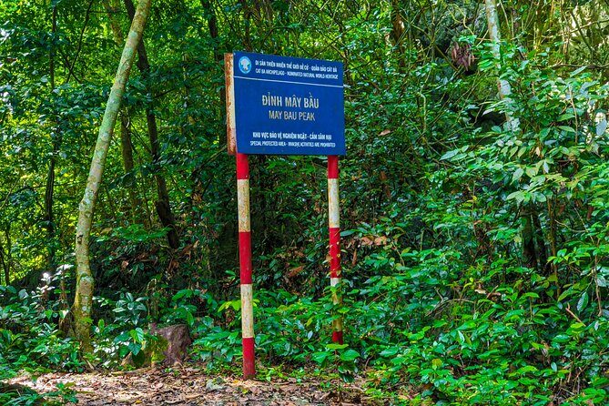 One Day Trekking Cat Ba National Park - An In-Depth Look at the Itinerary
