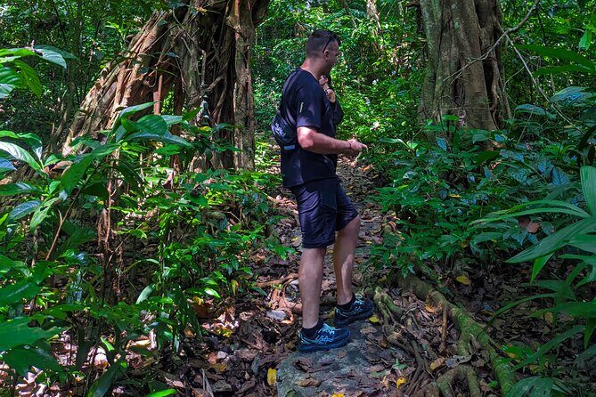 One Day Trekking Cat Ba National Park - Who Will Enjoy This Tour?