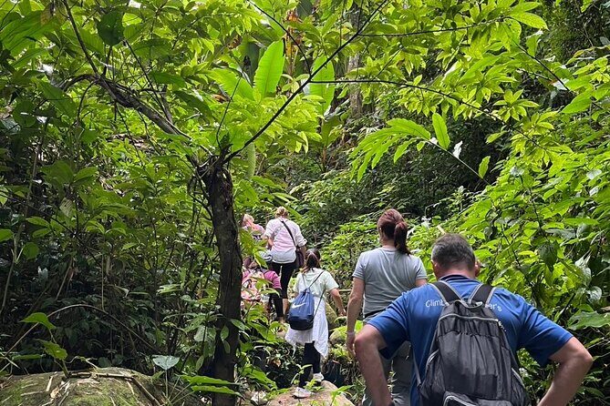 One Day Trekking Chiang Rai Jungle Adventure and Bamboo Cooking - A Detailed Look at the Tour Experience