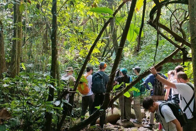 One Day Trekking Chiang Rai Jungle Adventure and Bamboo Cooking - Final Thoughts on Value and Experience