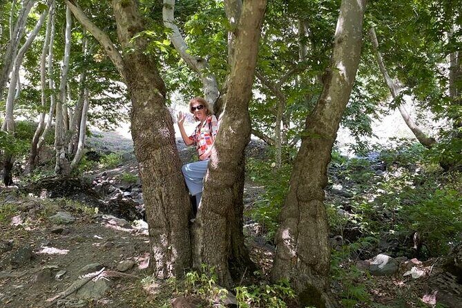 One-Day Trekking to Gusgarf Waterfall - Who Should Consider This Tour?