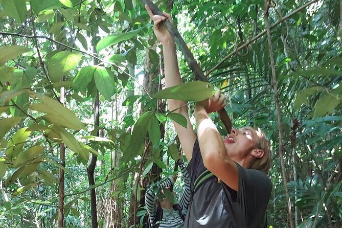 One day trip Learning the Private Lifestyle of the Forest People. - Afternoon Exploration: Ton Tae Waterfall