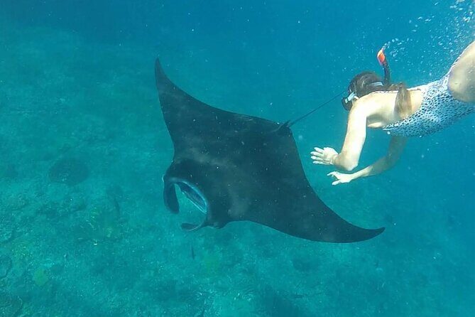 One Day Trip Nusa Penida Island and Snorkeling - Key Points