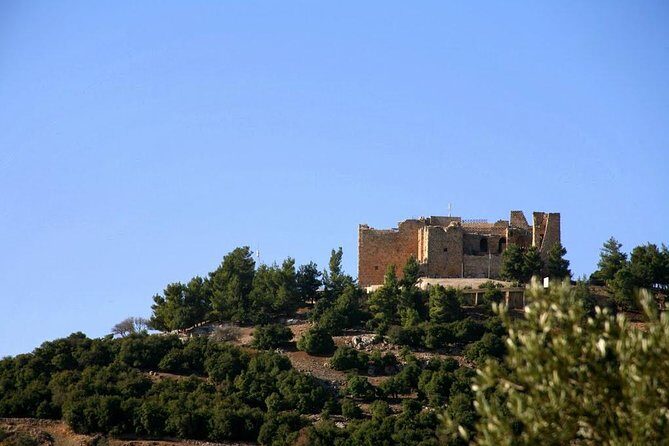 One Day Trip to Jerash & Ajloun Castle - Final Words