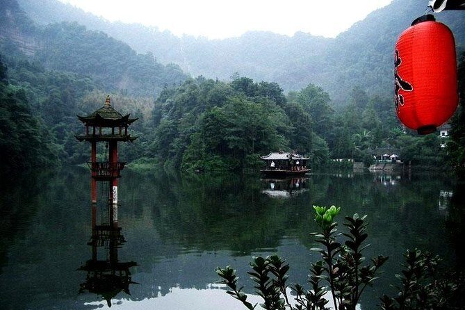 One Day Trip to Panda Base and Taoist Mt Qingcheng - Key Points