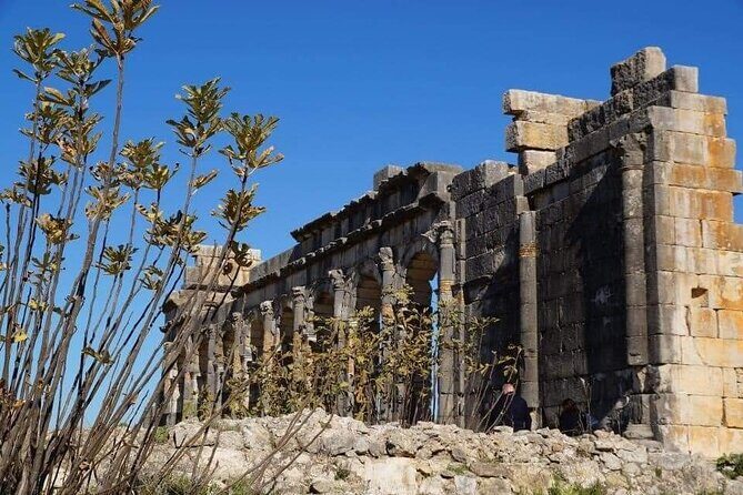 One day trip to Volubilis and meknes from Fes - Who Is This Tour Best For?  