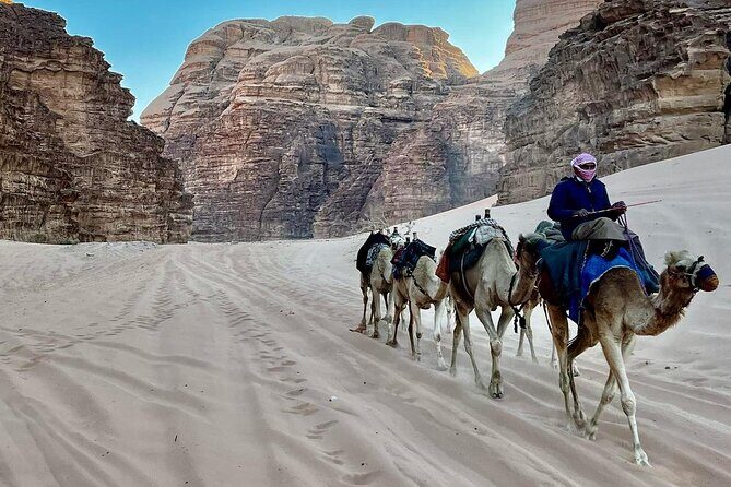 One Day Wadi Rum from Aqaba - Authentic Insights from Reviewers