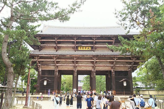 one-day-walking-tour-of-amazing-8th-century-capital-nara