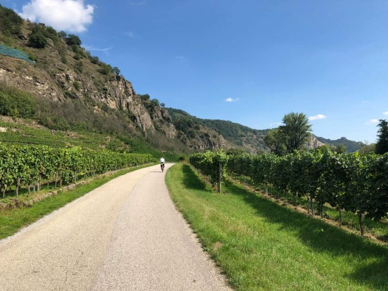 one-day-winery-tour-with-wine-tasting-and-cheese-snack