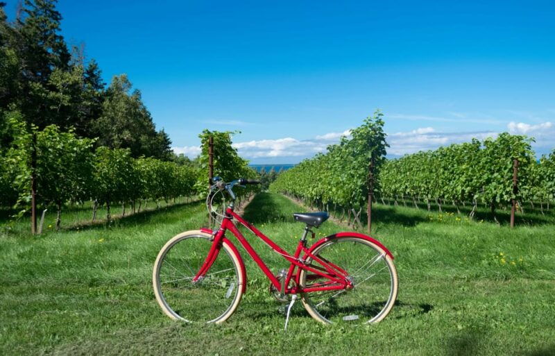 one-day-winery-tour-with-wine-tasting-and-cheese-snack