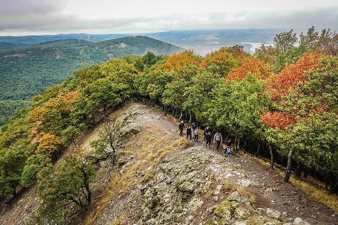 One Day Wonder Hiking Trip - Transportation and Logistics: Seamless and Comfortable
