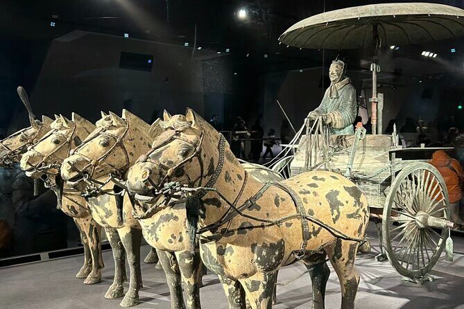 One-Day Xian Terracotta Warriors and City Discovery Tour - What to Expect from the Tour