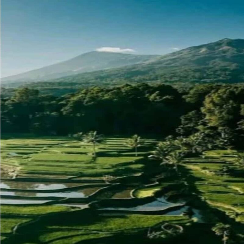 One Days Tours Panorama Walk Around Senaru Village - Practical Details: What You Need to Know