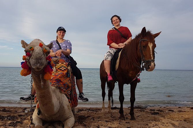 One hour Camel Ride At Amazing Desert With Transfer - Sharm El Sheikh - FAQ