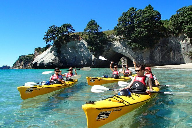 One Hour Cathedral Cove Boat Tour in Hahei - Who Should Book This Tour?
