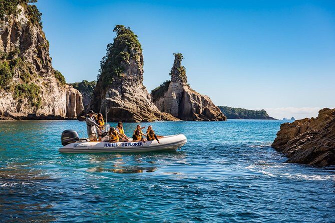 One Hour Cathedral Cove Boat Tour in Hahei - The Sum Up