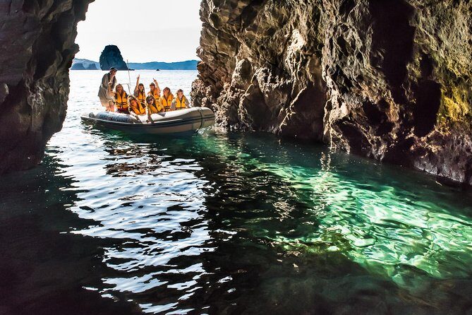 One Hour Cathedral Cove Boat Tour in Hahei - Frequently Asked Questions