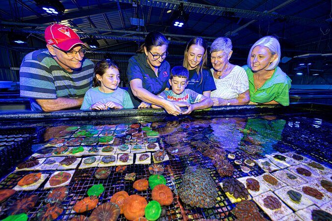 One Hour Coral Farm Tour, Discover Australia's Marine Life - An In-Depth Look at the Coral Farm Experience