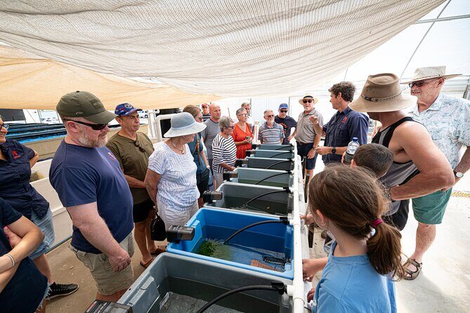 One Hour Coral Farm Tour, Discover Australia's Marine Life - FAQ