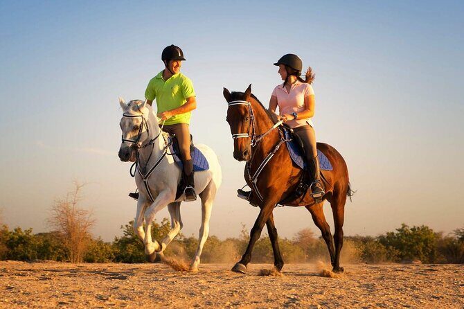 One Hour Desert Horseback Riding Adventure From Sharm El Sheikh - Exploring the One Hour Desert Horseback Riding Adventure from Sharm El Sheikh