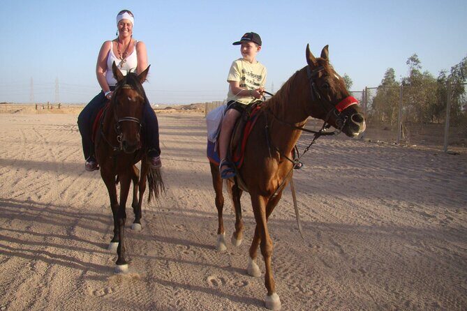 One Hour Desert Horseback Riding Adventure From Sharm El Sheikh - What to Expect from the Desert Horseback Riding Tour