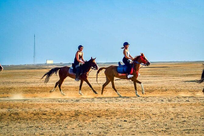 One Hour Desert Horseback Riding Adventure From Sharm El Sheikh - Authenticity and Experience Highlights