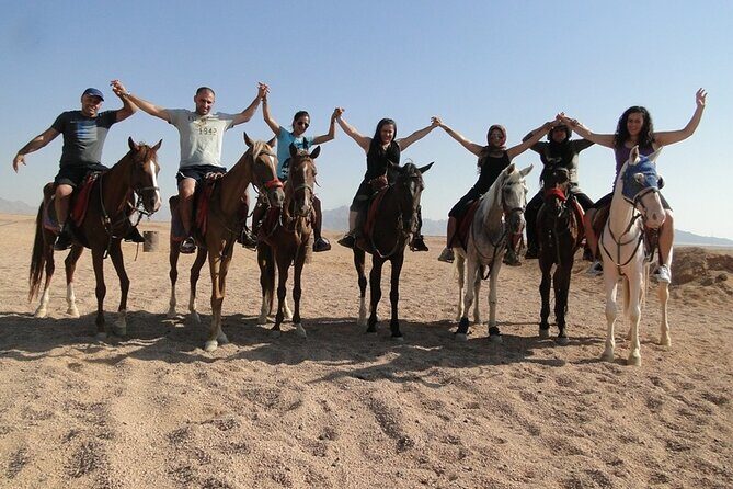 One Hour Desert Horseback Riding Adventure From Sharm El Sheikh - Practical Tips for Booking and Enjoying Your Ride