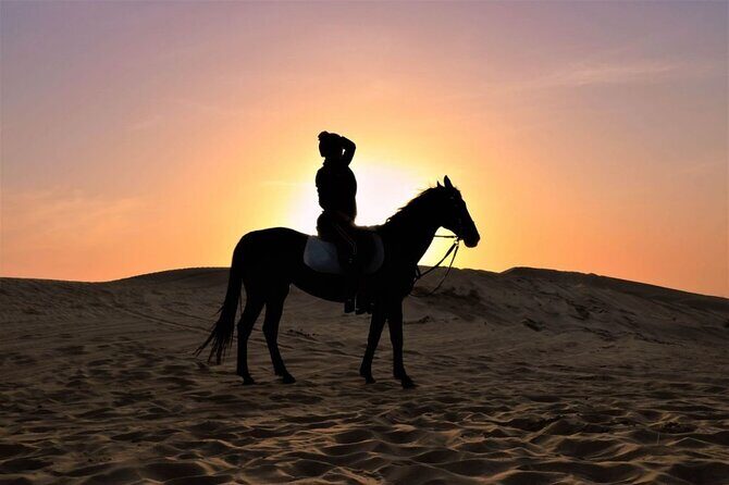 One Hour Desert Horseback Riding Adventure From Sharm El Sheikh - Who Should Consider This Tour?