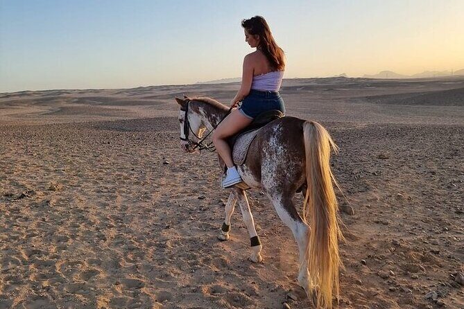 One Hour Desert Horseback Riding Adventure From Sharm El Sheikh - Final Thoughts