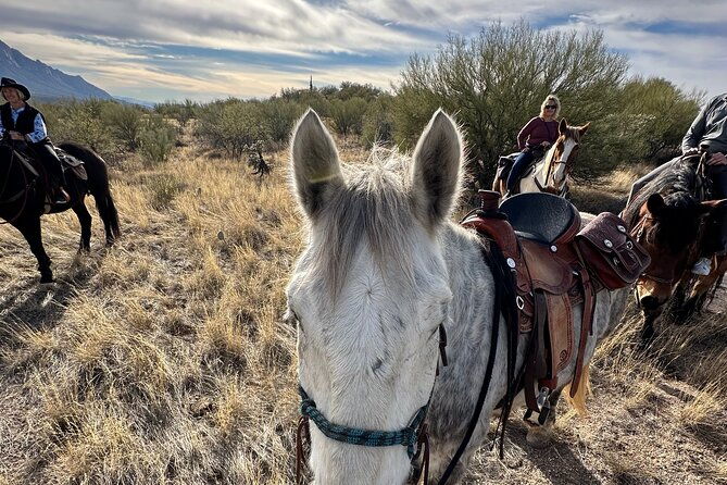 one-hour-guided-horseback-ride