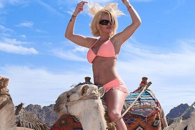 One Hour Horse or Camel Riding with Transfer- Sharm El-Sheikh - The Review from Travelers