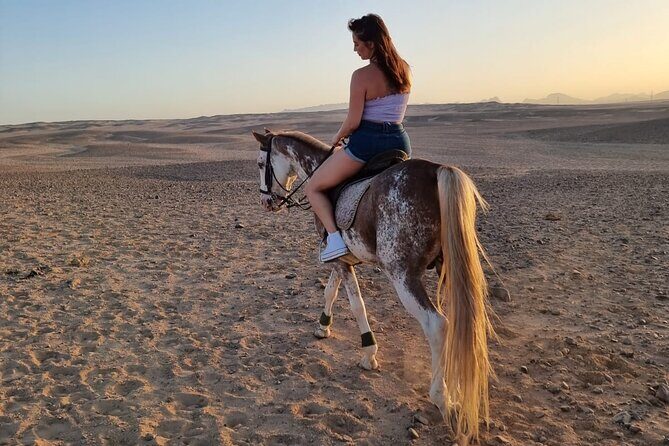One Hour Horse or Camel Riding with Transfer- Sharm El-Sheikh - Final Thoughts: Who Should Consider This Tour?