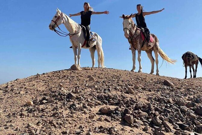 One Hour Horse or Camel Riding with Transfer- Sharm El-Sheikh - Final Wrap-up