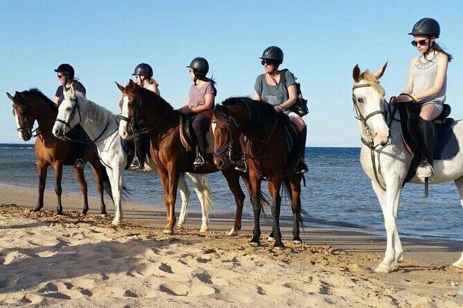 One Hour Horse Riding Beach with Transfer from Hurghada - Key Points