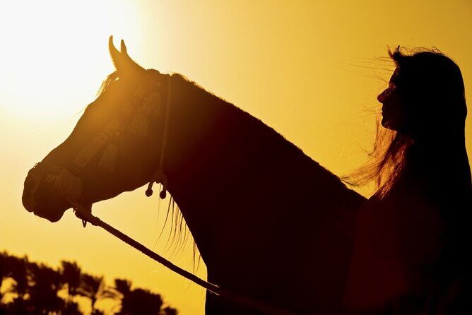 One Hour Horse Riding or Camel Riding At Amazing Desert in Hurghada - The Itinerary in Detail