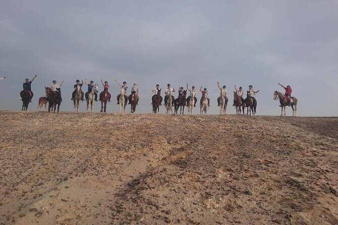 One Hour Horse Riding or Camel Riding At Amazing Desert in Hurghada - Who Is This Tour Best Suited For?