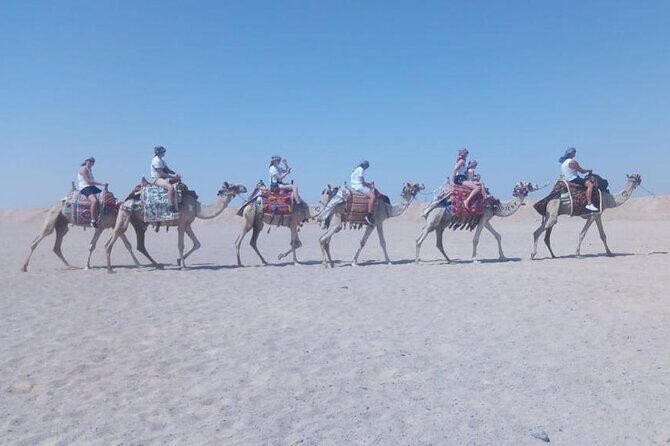 One Hour Horse Riding or Camel Riding At Amazing Desert in Hurghada - FAQ