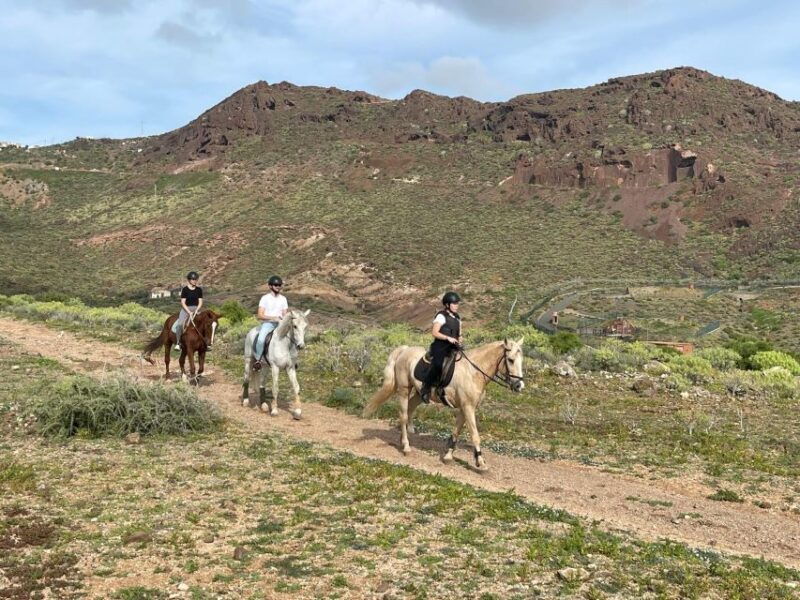 one-hour-horse-riding-tour-in-gran-canaria